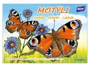 MFP Papier - Omaľovanka / Motýle